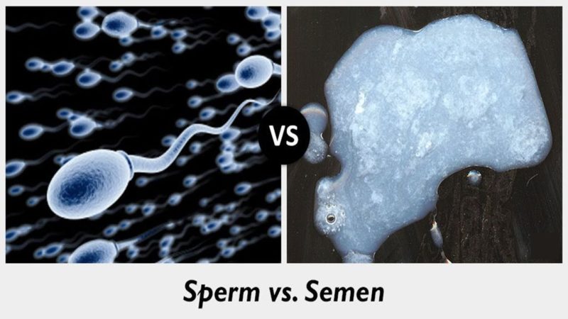 Pay for sperm