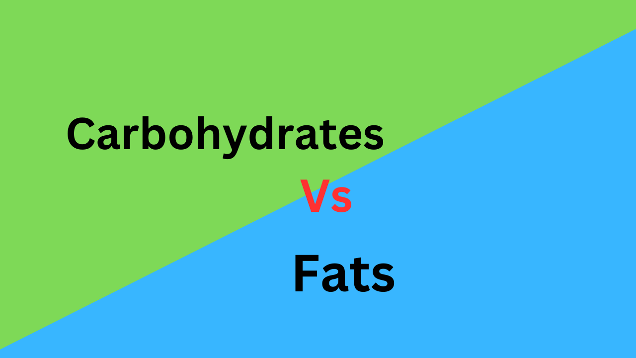 10 Difference between Carbohydrates and Fats (With Table)