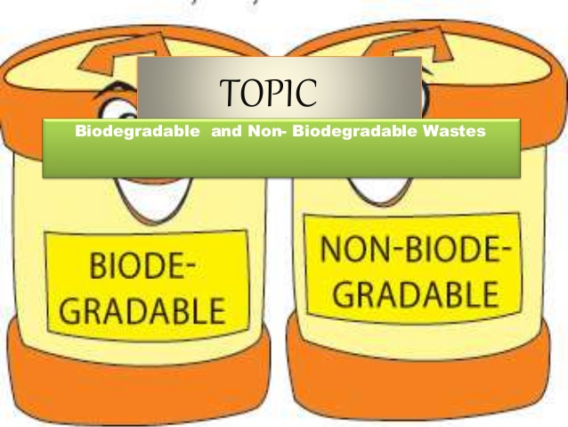 Difference between Biodegradable and Non-Biodegradable Substances