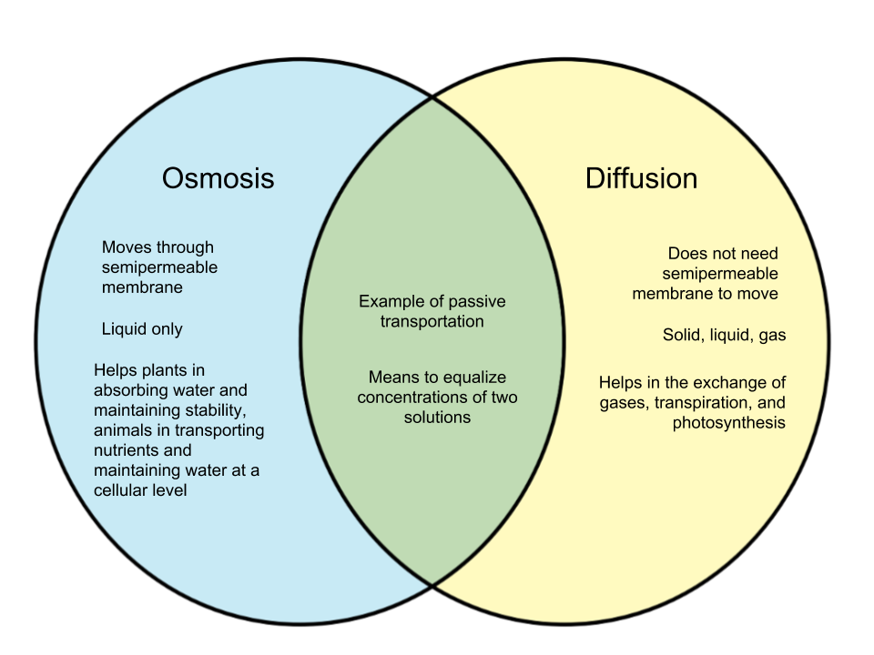 8 Important Difference between Diffusion and Osmosis - Core Differences