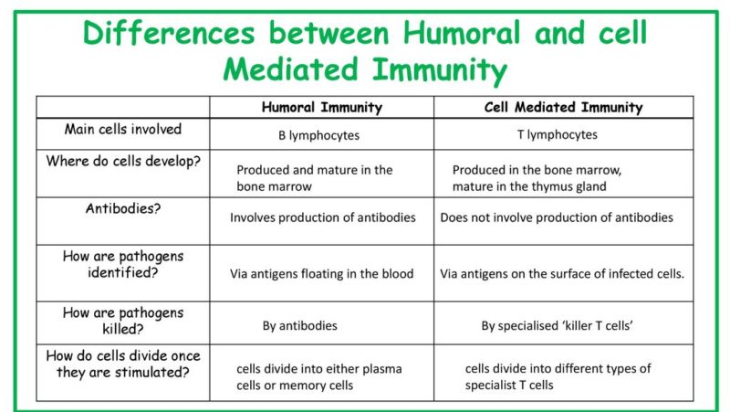 Difference between Humoral and Cell-Mediated Immunity