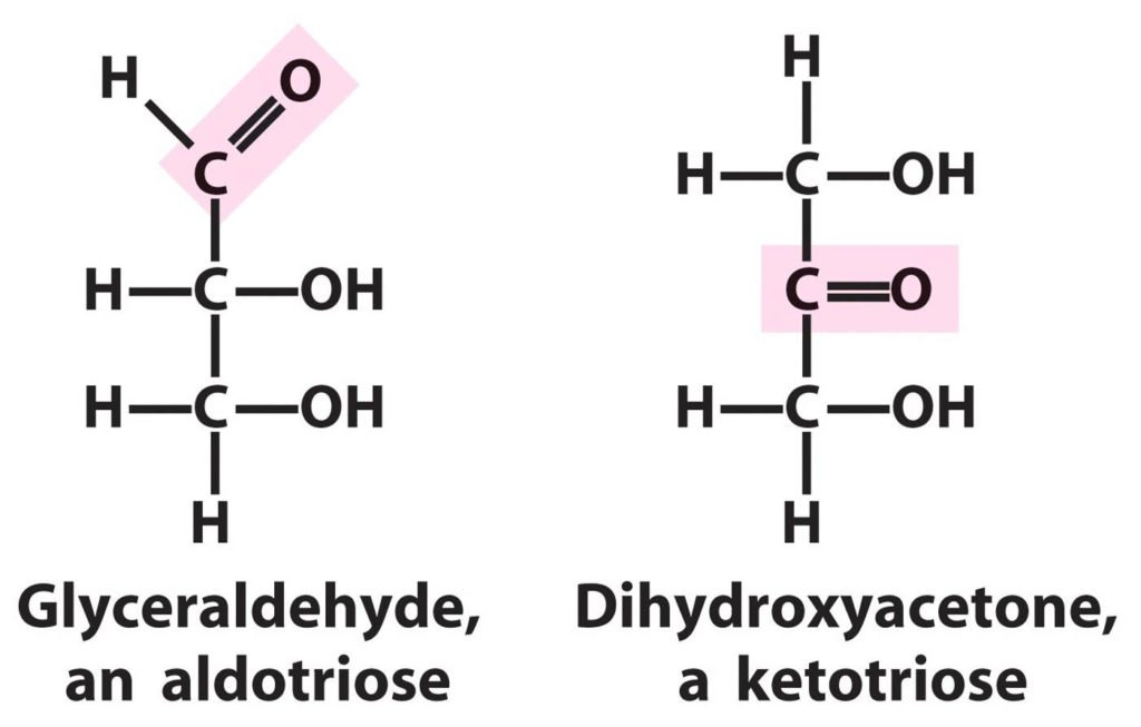Difference between Aldose and Ketose