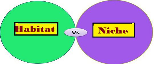 10 Major Difference Between Habitat And Niche With Table - Core Differences