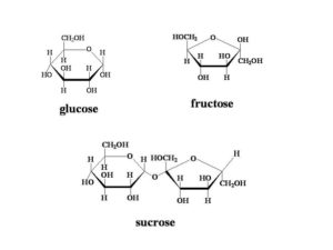 difference between glucose and sucrose