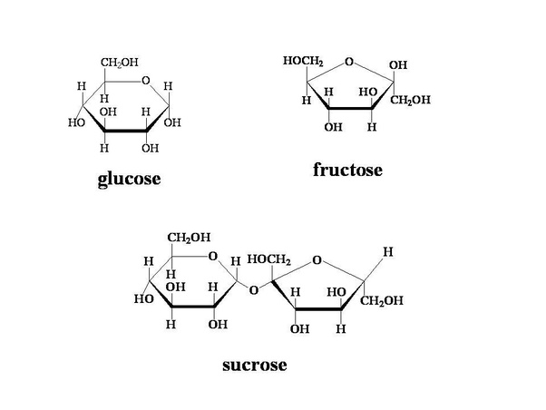 Difference between Glucose and Fructose: Comparison Table