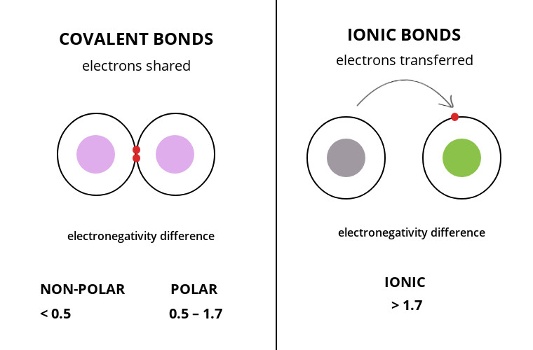 15 Major Difference Between Covalent And Ionic Bonds With Table Core 