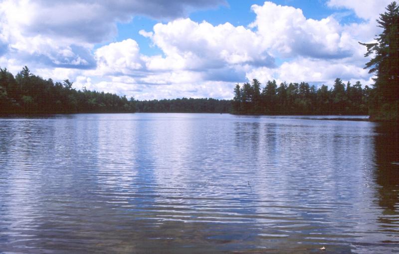 oligotrophic lake (Difference between Oligotrophic and Eutrophic Lakes)