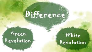 Difference Between Green and White Revolution 