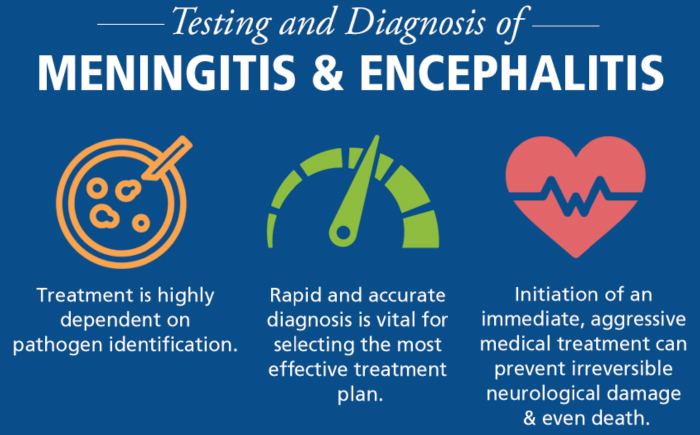 Difference Between Meningitis and Encephalitis 