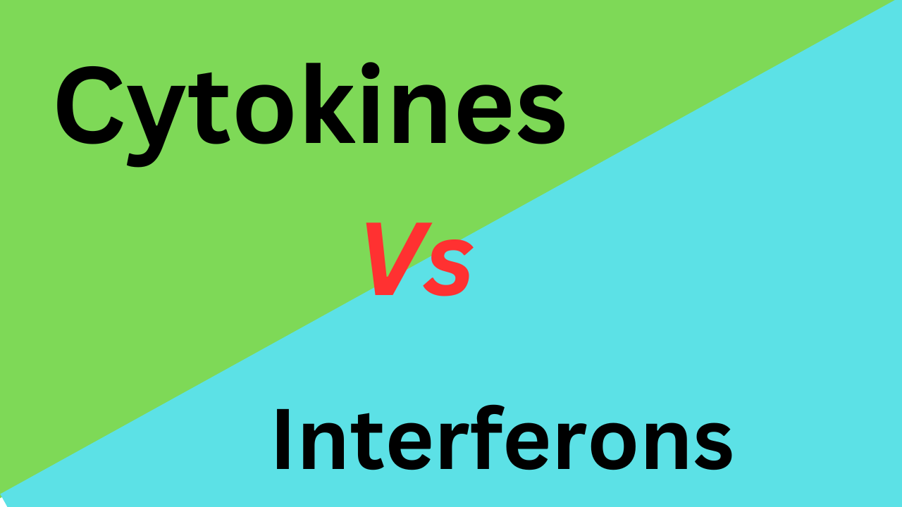 7 Difference Between Cytokines and Interferons (With Table)
